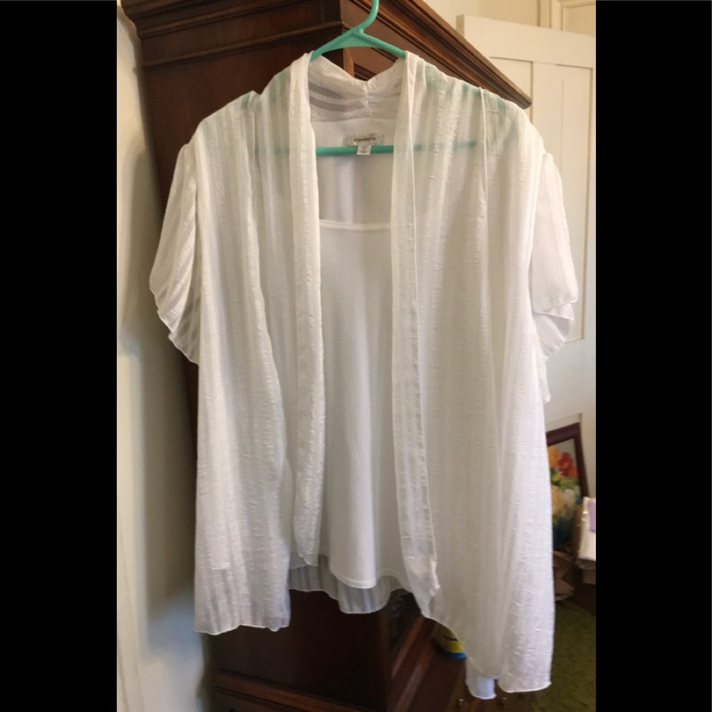 Sheer white short sleeve holiday blouse and cover